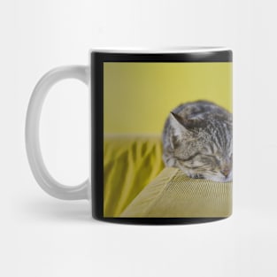 Kitten Mug